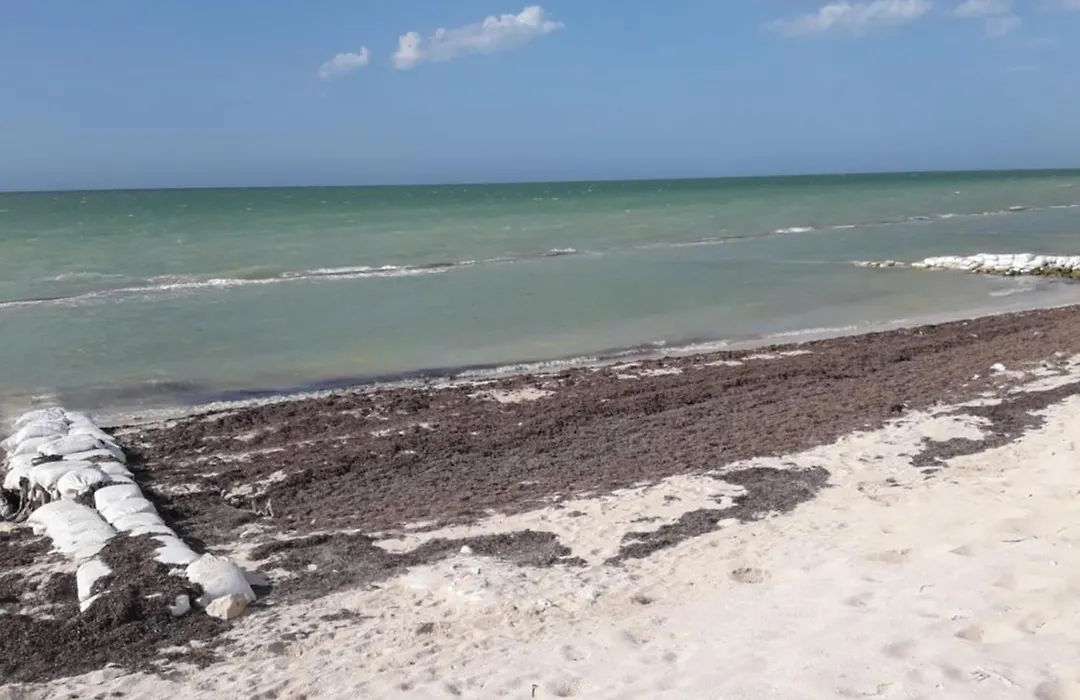 Casa Pepe Vacation Rental Progreso-1